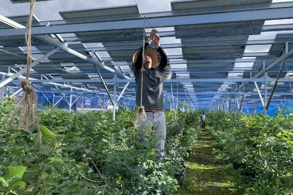 repowering_sec06_img01