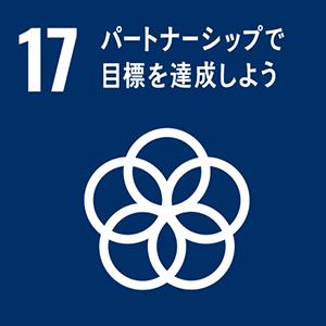 sdg_icon_17