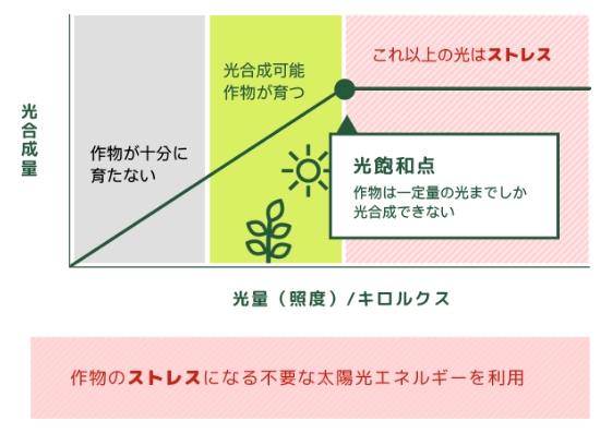 solarsharing_sec02_img01