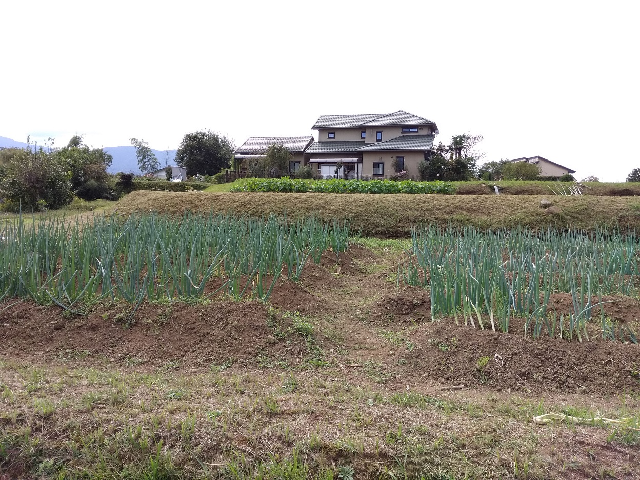 ソーラーシェアリングの申請は難しい!? 福岡県うきは市