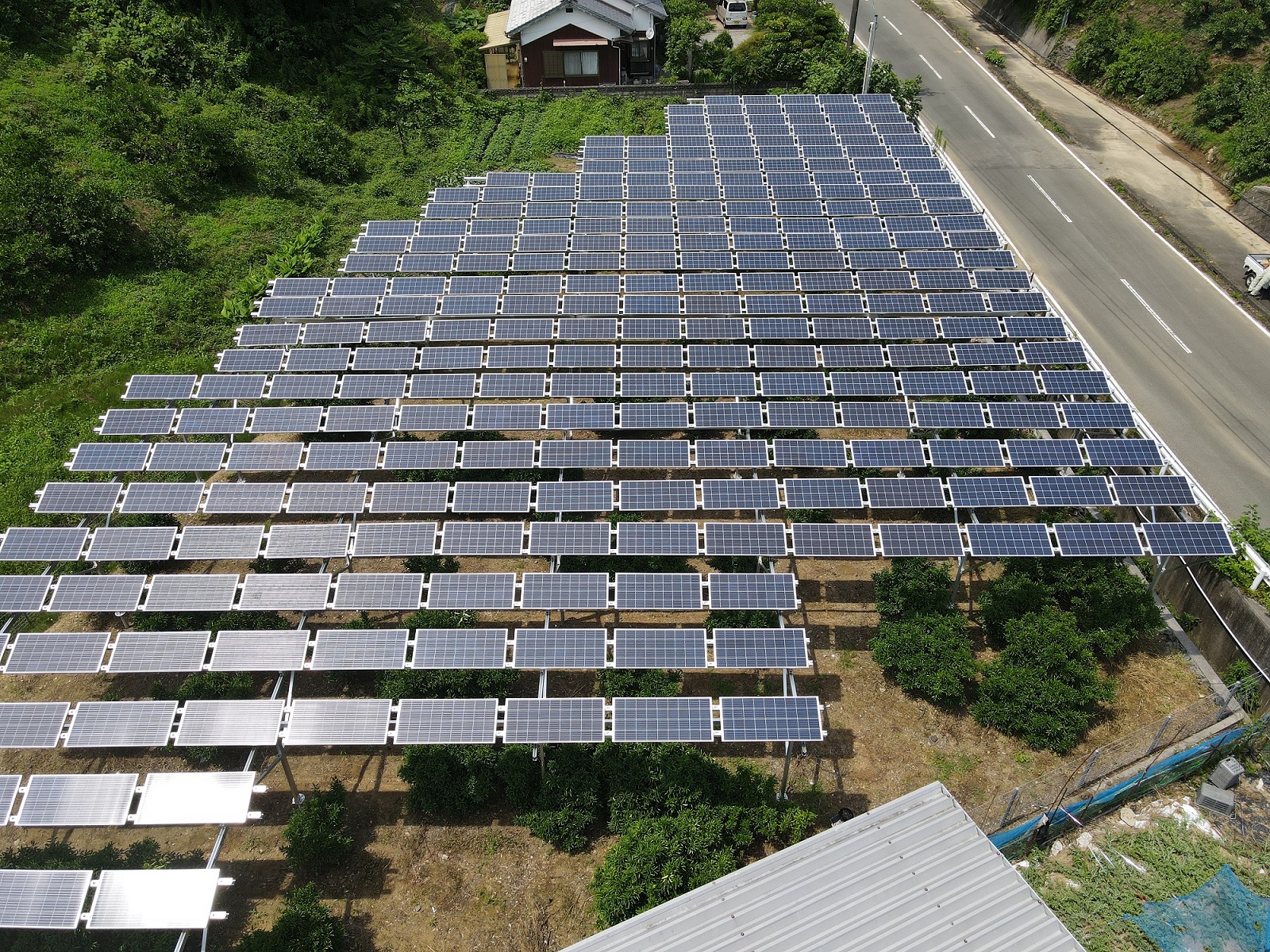 愛媛県宇和島市にてソーラーシェアリング完成！作物はみかん (品種：ハルカ)