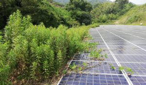 和歌山県高圧太陽光発電所復旧工事。現場調査！