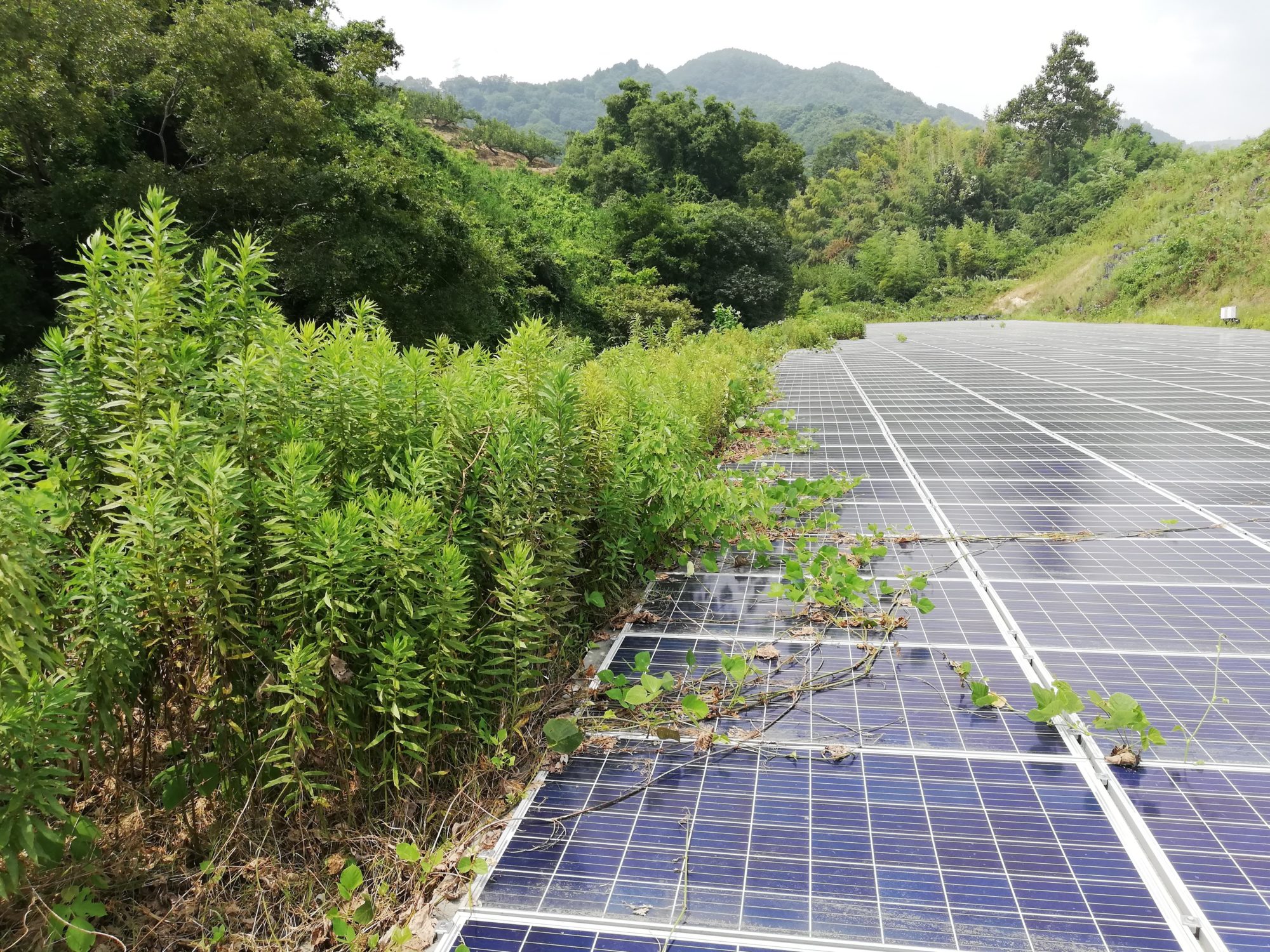 和歌山県高圧太陽光発電所復旧工事。現場調査！