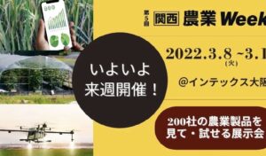 数字の２は人類の軌跡の奇跡