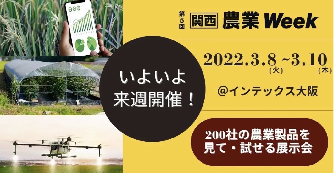 数字の２は人類の軌跡の奇跡