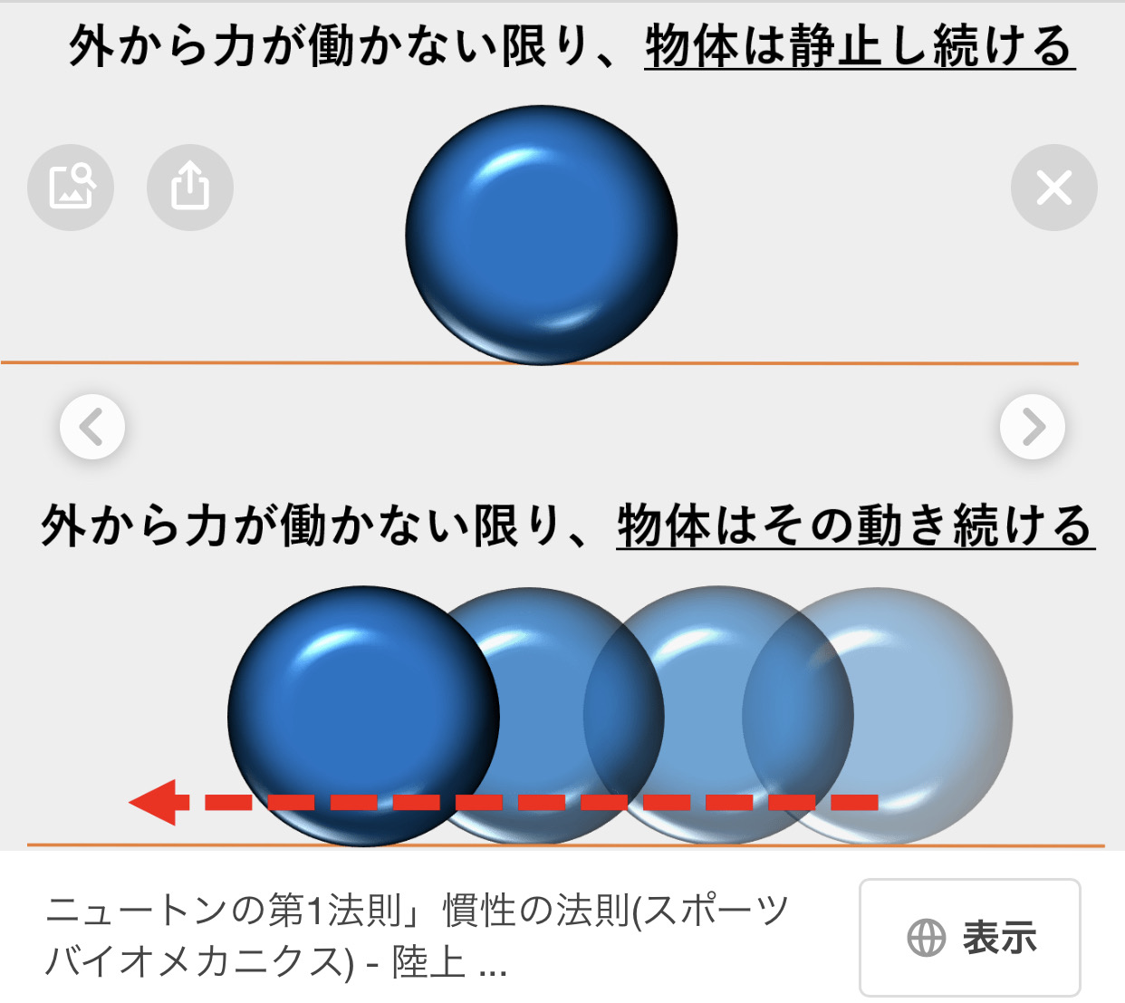 草むしりから「慣性の法則」